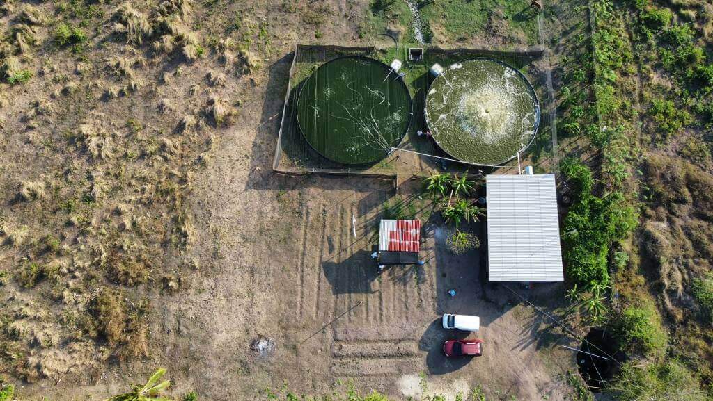 Vista aerea de campo de cultivo
